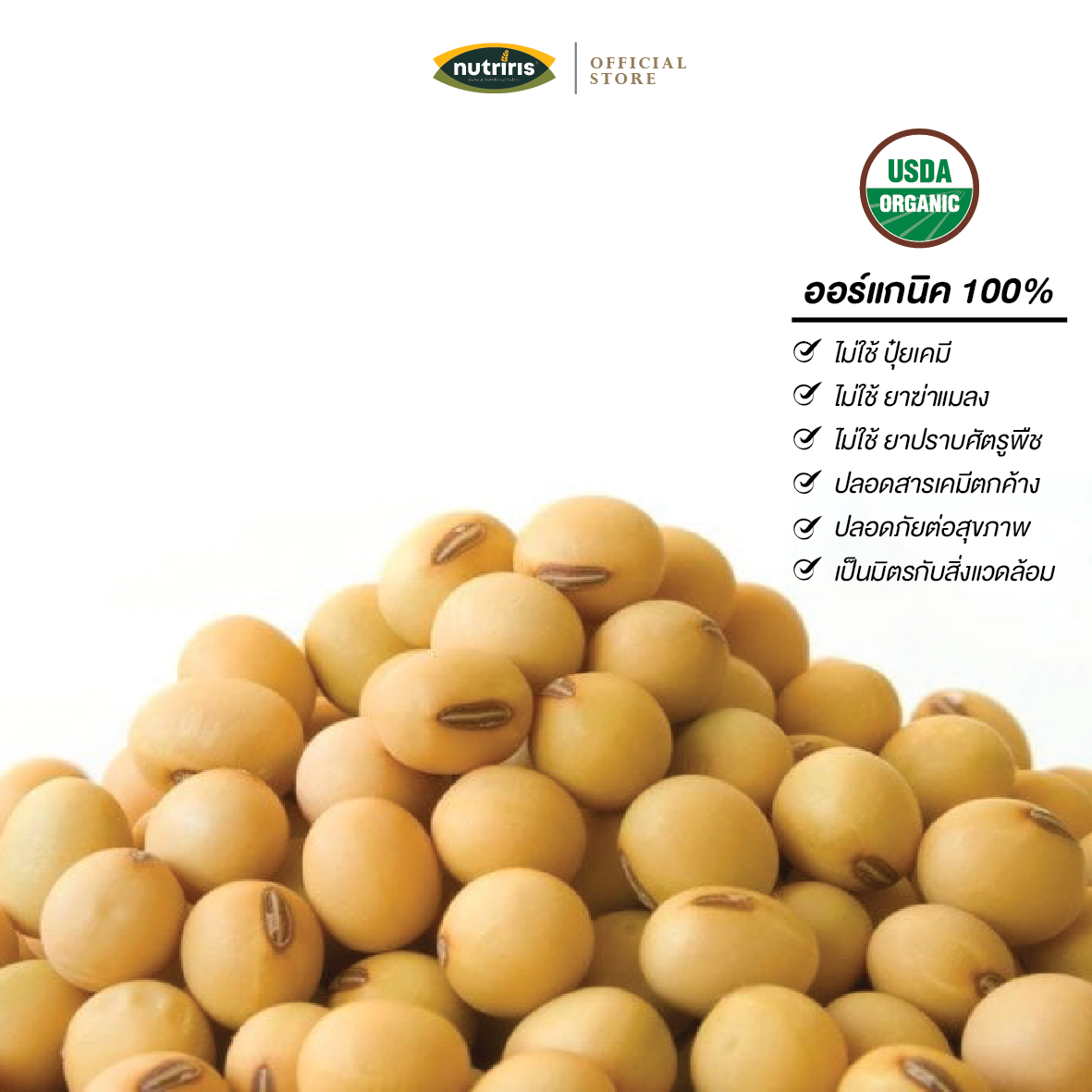 CT Soy Bean 2026-01 ถั่วเหลือง