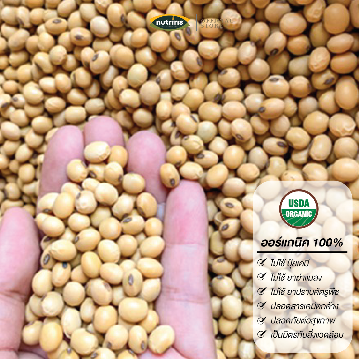 CT Soy Bean 2026-02 ถั่วเหลือง