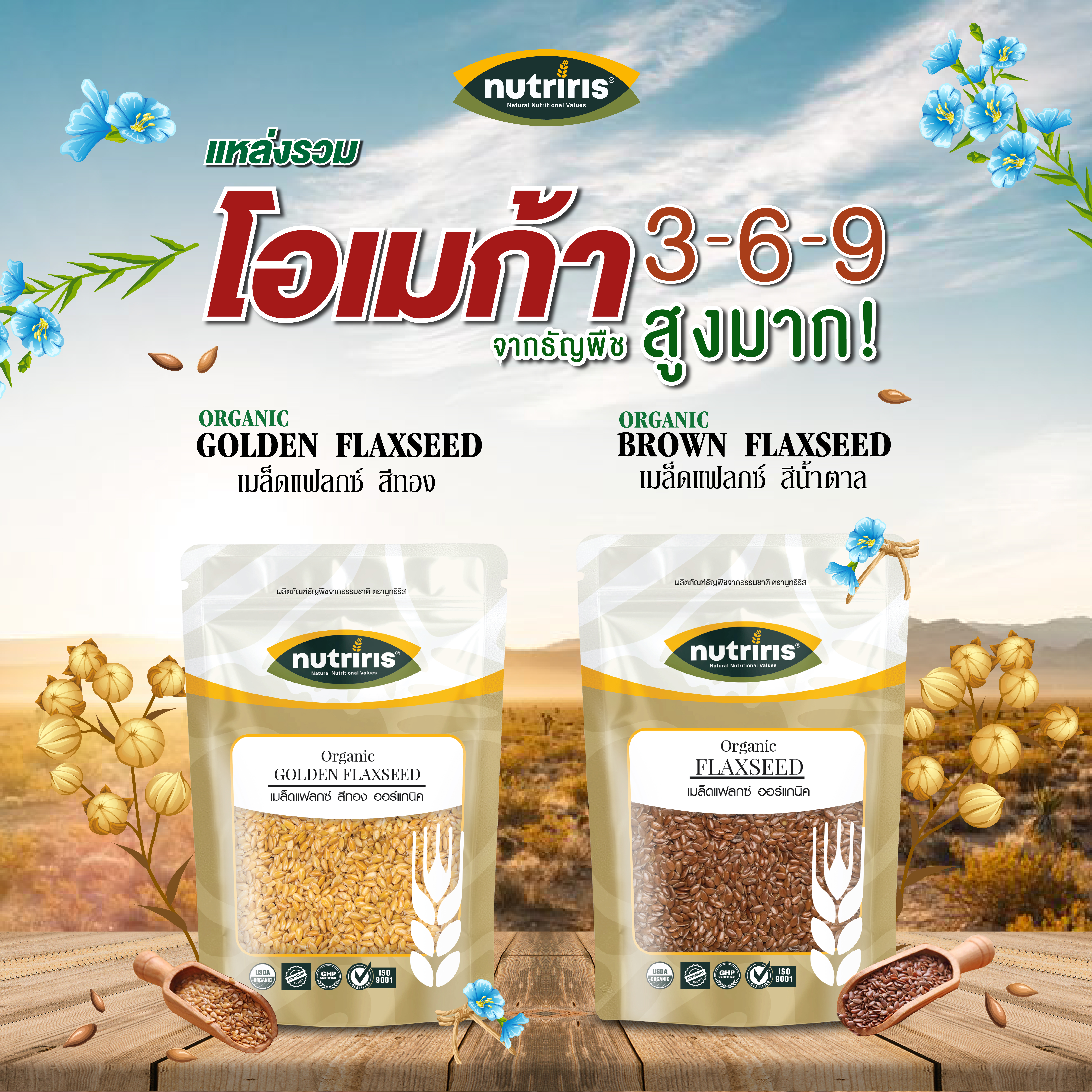 flaxseed 03-01-01 flaxseed