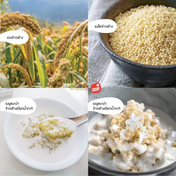 ข้าวฟ่าง