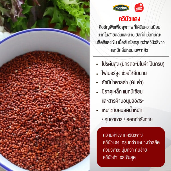 ควินัวแดง