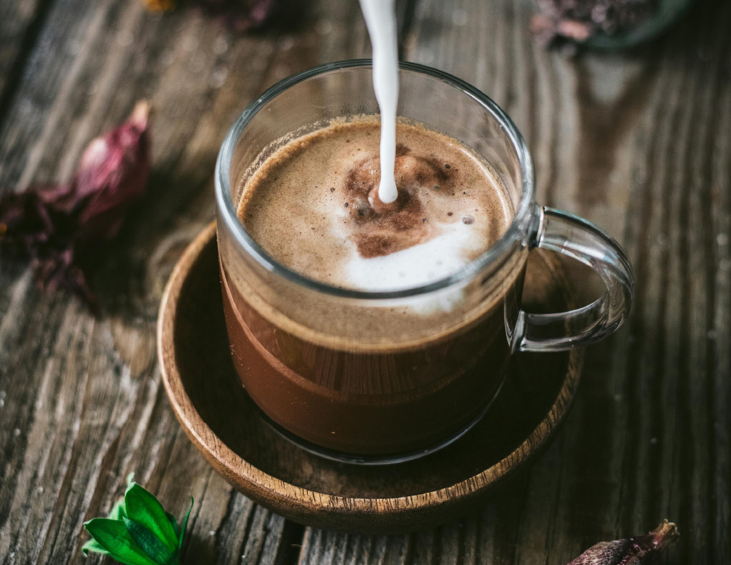 คาเคาริโต้