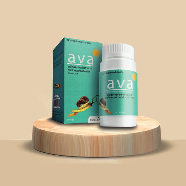 ถั่งเช่า ผสม เห็ดหลินจือ