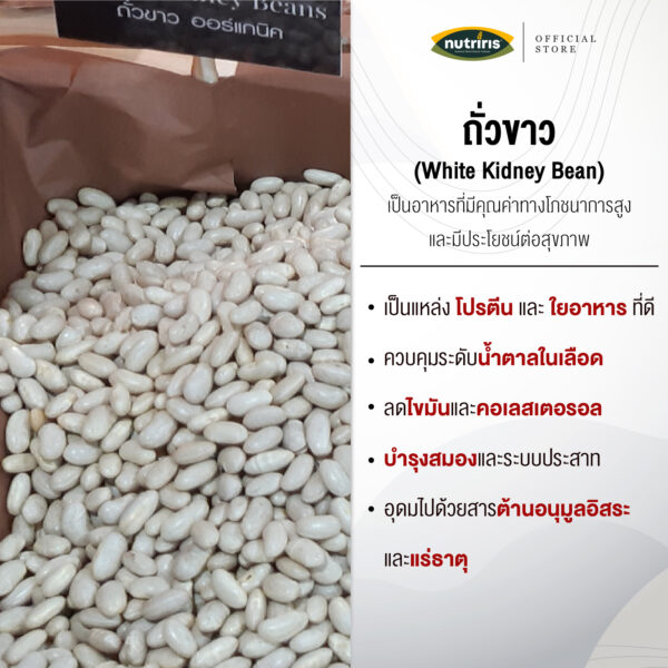 ถั่วขาว