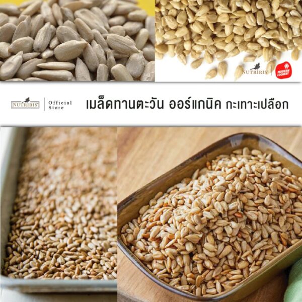 เมล็ดทานตะวัน