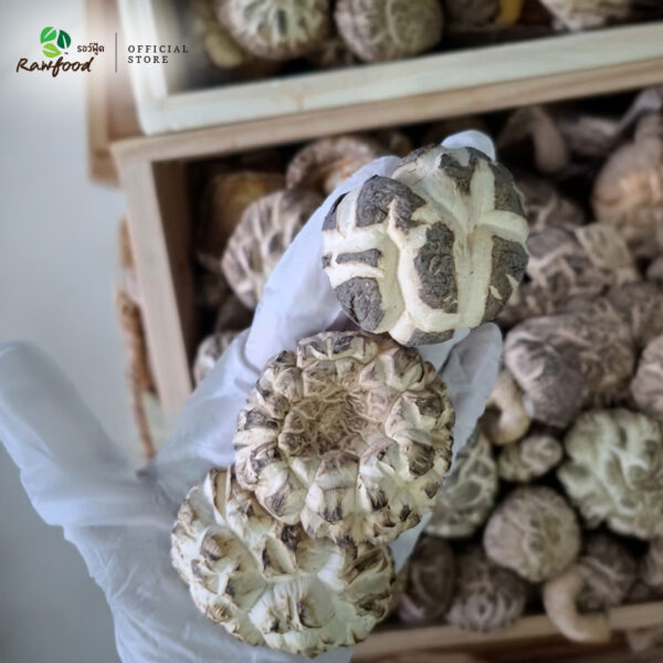 เห็ดหอมลายญี่ปุ่น-Rawfood