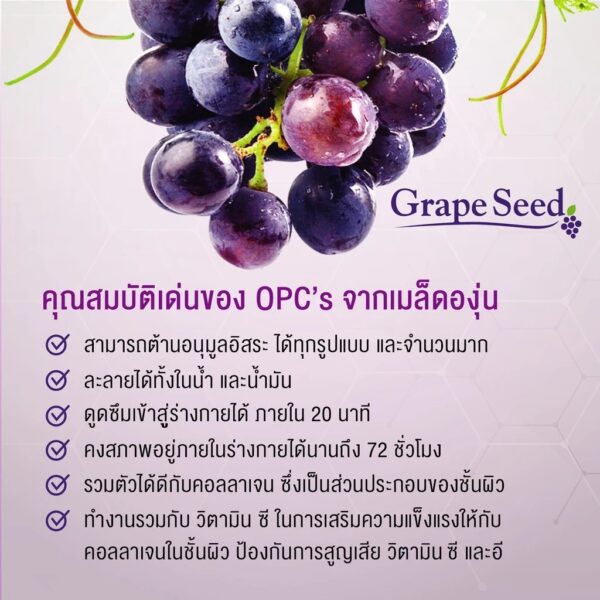 Grape Seed Extract