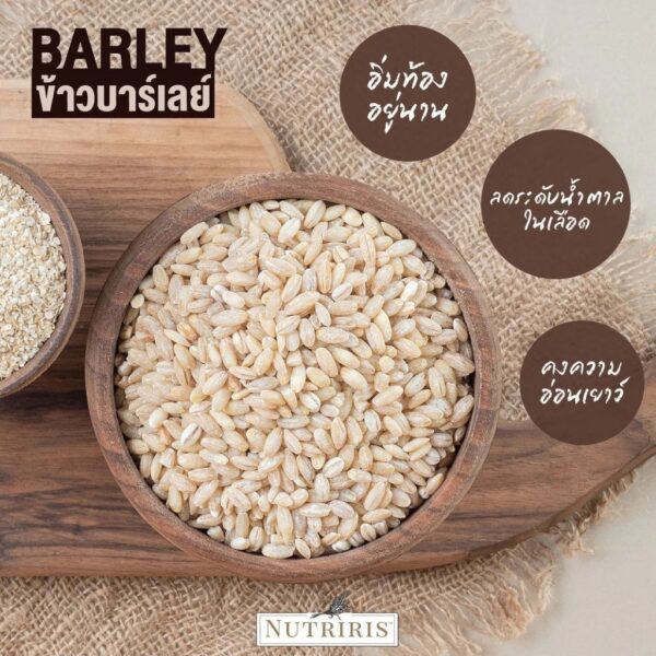 ข้าวบาร์เลย์