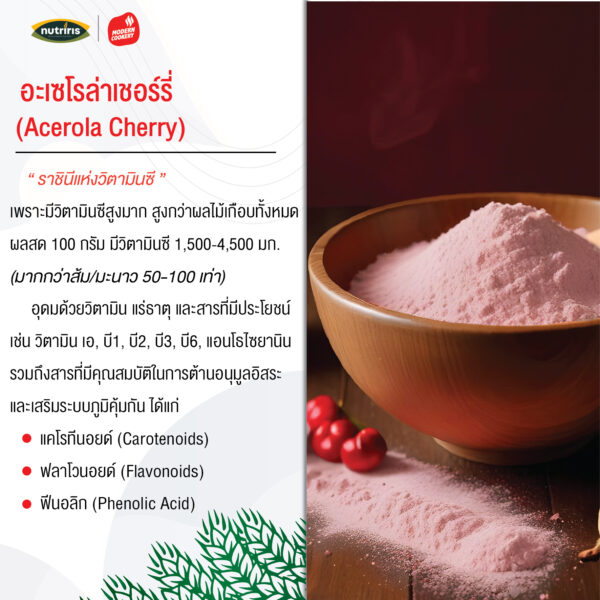 Acerola powder