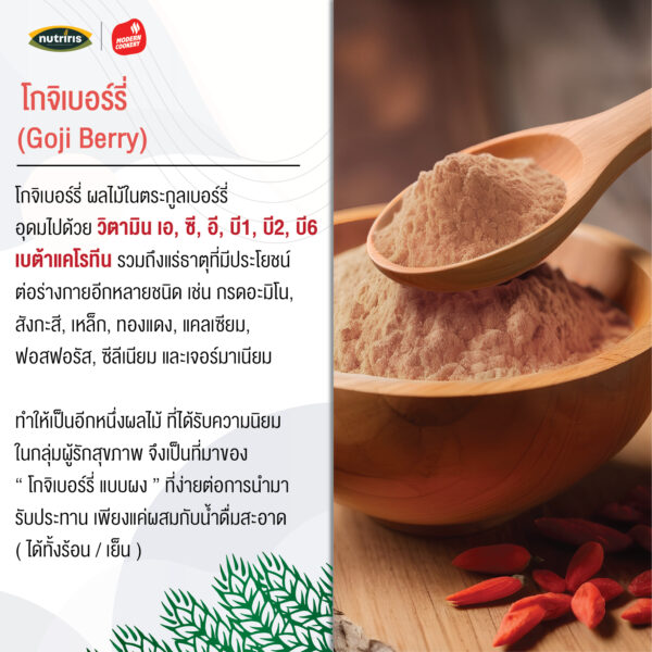 Goji Berry powder