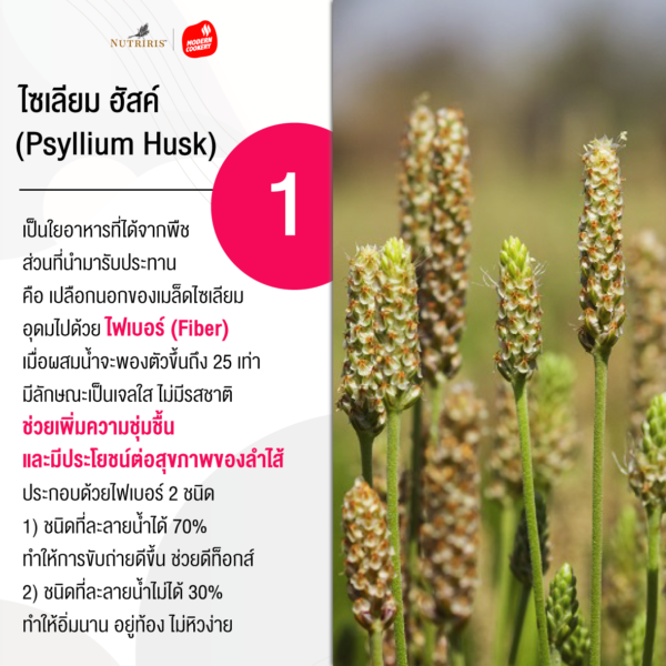 Psyllium plus
