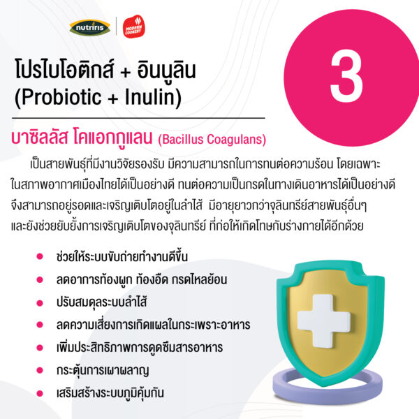 Psyllium plus