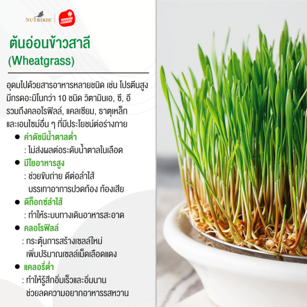 Wheatgrass powder