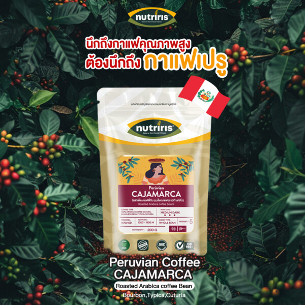 อราบิก้า-กาแฟ