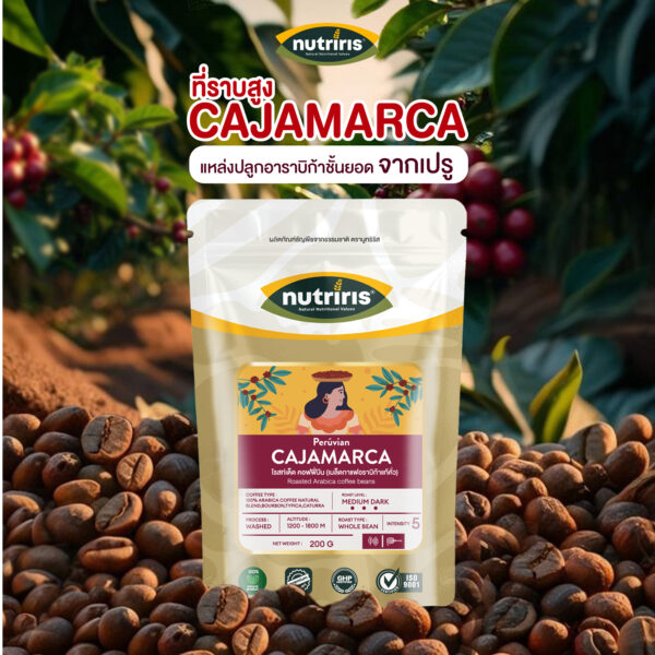 อราบิก้า-กาแฟ