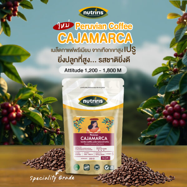 อราบิก้า-กาแฟ