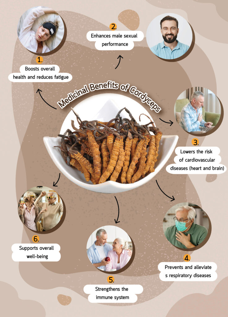 ถังเช่า