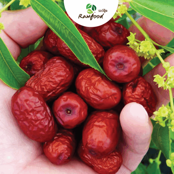 CT พุทราจีน คัดเกรด