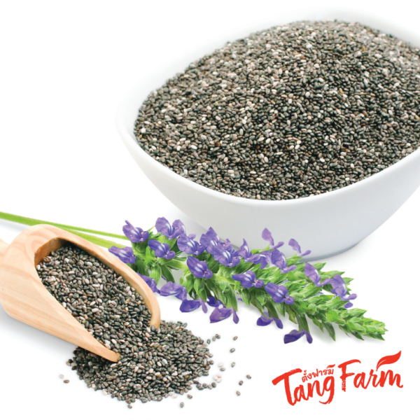 ตั้งฟาร์ม เมล็ดเจีย