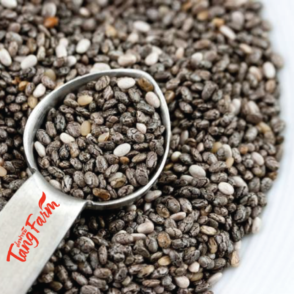 ตั้งฟาร์ม เมล็ดเจีย