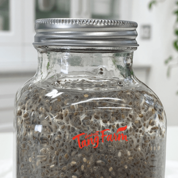 ตั้งฟาร์ม เมล็ดเจีย