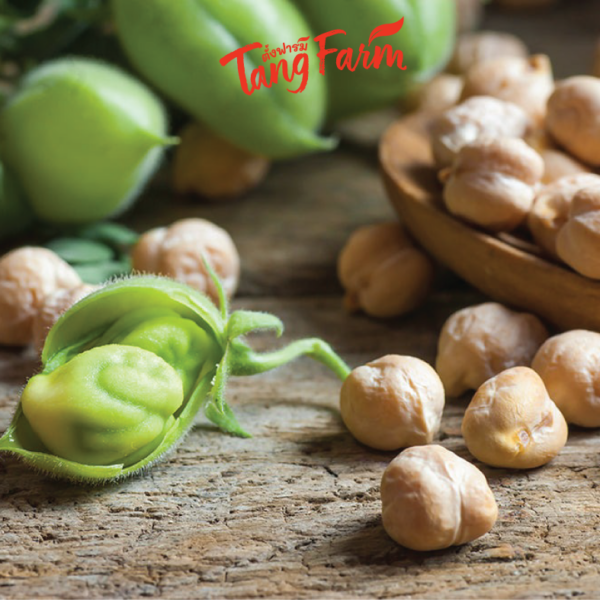 ตั้งฟาร์ม ถั่วลูกไก่