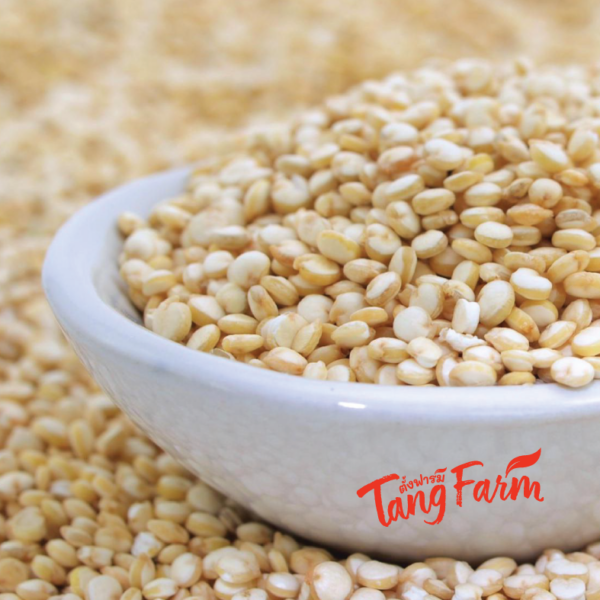 ตั้งฟาร์ม ควินัวขาว