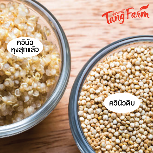 ตั้งฟาร์ม ควินัวขาว