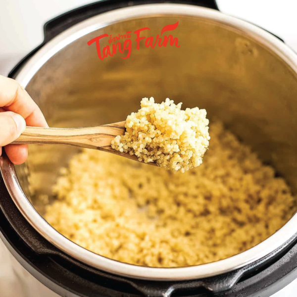 ตั้งฟาร์ม ควินัวขาว