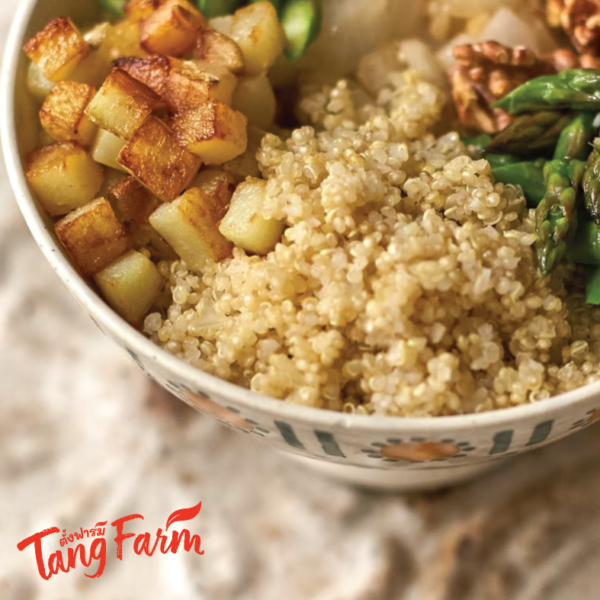 ตั้งฟาร์ม ควินัวขาว