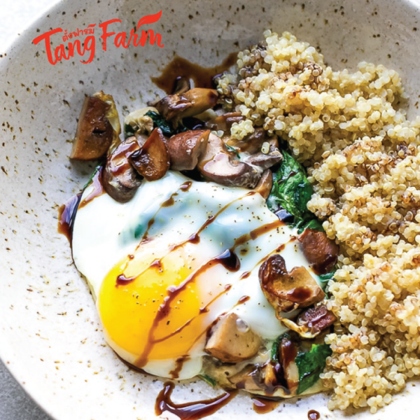 ตั้งฟาร์ม ควินัวขาว