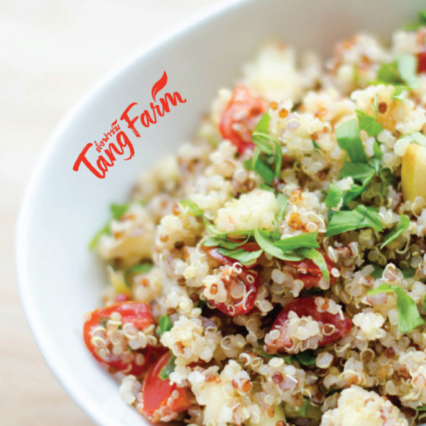 ตั้งฟาร์ม ควินัวขาว