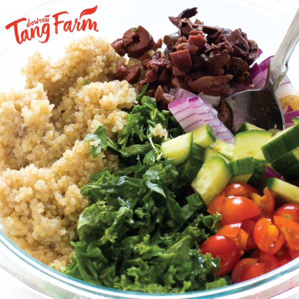 ตั้งฟาร์ม ควินัวขาว