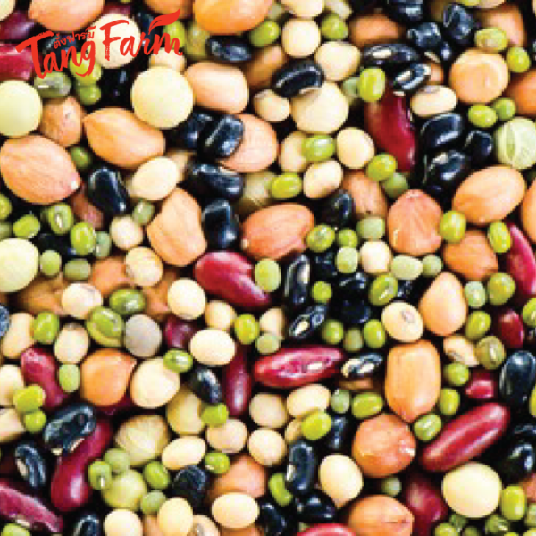 ตั้งฟาร์ม ถั่ว 5 สี