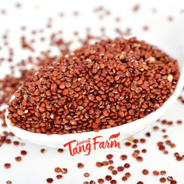 ตั้งฟาร์ม ควินัวแดง