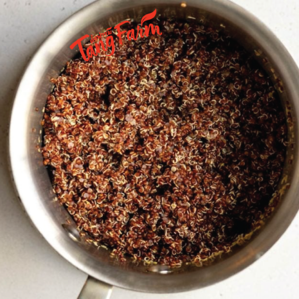 ตั้งฟาร์ม ควินัวแดง