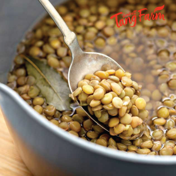 ตั้งฟาร์ม เลนทิล