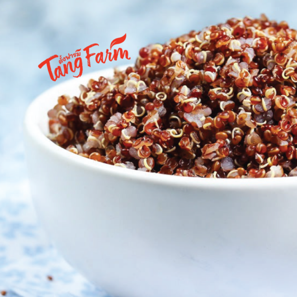 ตั้งฟาร์ม ควินัวแดง