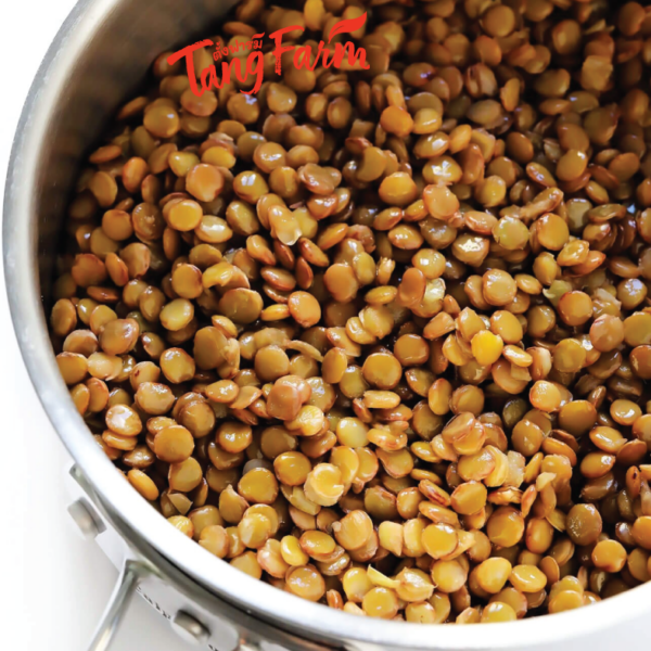 ตั้งฟาร์ม เลนทิล