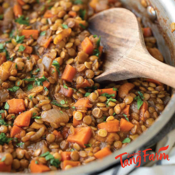 ตั้งฟาร์ม เลนทิล