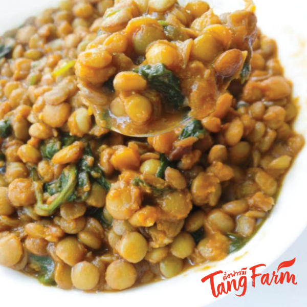 ตั้งฟาร์ม เลนทิล