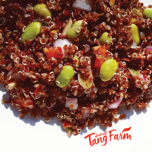 ตั้งฟาร์ม ควินัวแดง