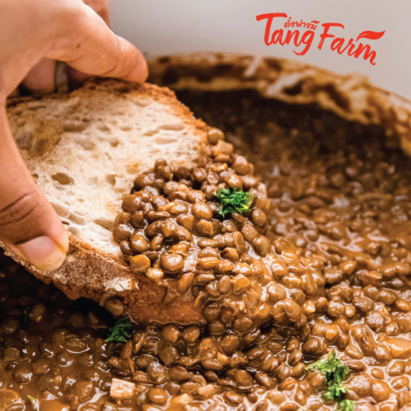 ตั้งฟาร์ม เลนทิล