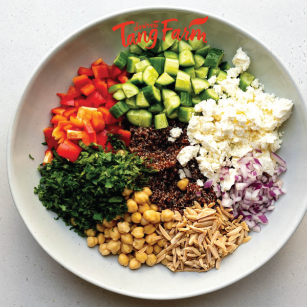 ตั้งฟาร์ม ควินัวแดง