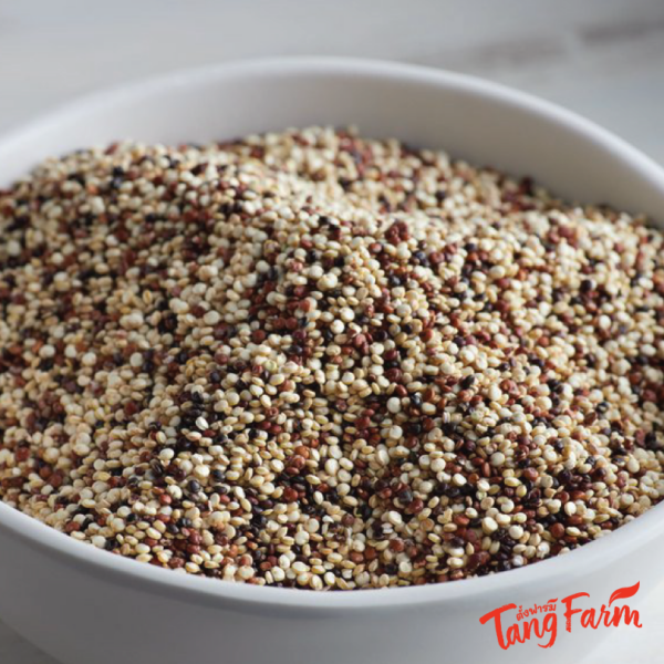 ตั้งฟาร์ม ควินัว 3 สี
