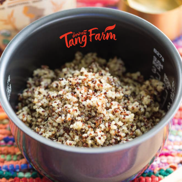 ตั้งฟาร์ม ควินัว 3 สี