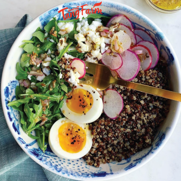 ตั้งฟาร์ม ควินัว 3 สี