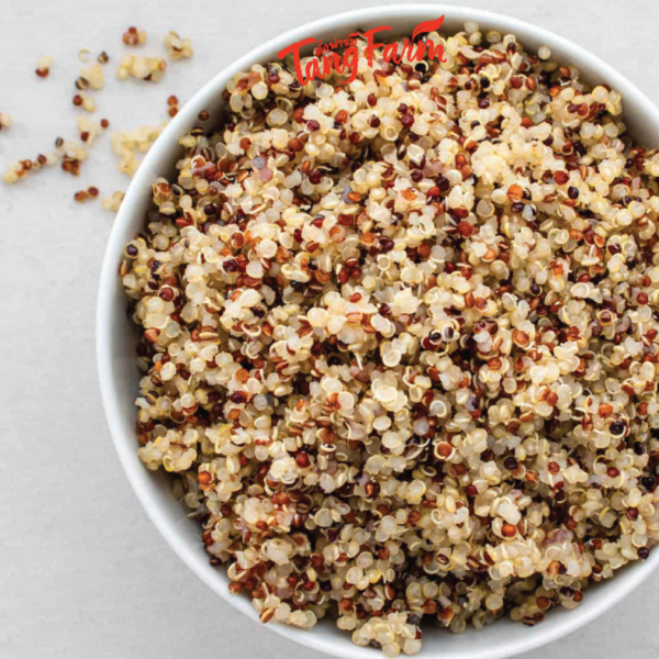 ตั้งฟาร์ม ควินัว 3 สี