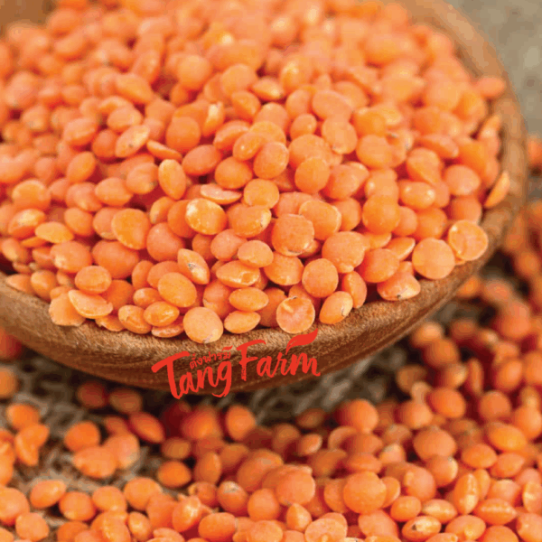 Red Lentil