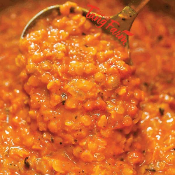 Red Lentil